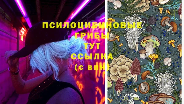 гидропоника Лихославль
