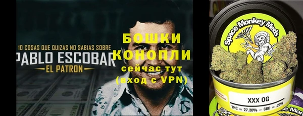 ешки Липки