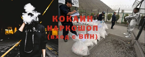 тгк Магас