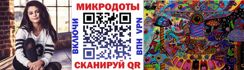 наркота blacksprut как войти Галлюциногенные грибы Cubensis Малгобек