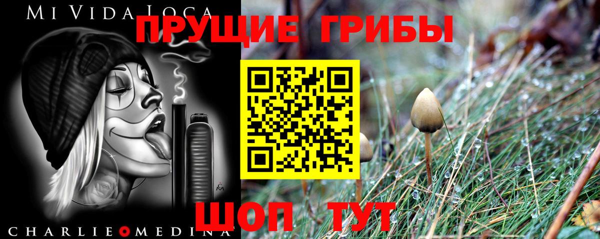 Малгобек  Галлюциногенные грибы GOLDEN TEACHER  Галлюциногенные грибы Magic Shrooms  Вход с VPN 