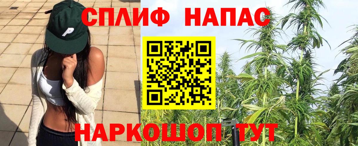 МАРИХУАНА конопля Малгобек